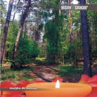 LEŚNY SPACER - 432 HZ. Muzyka na CD z licencją